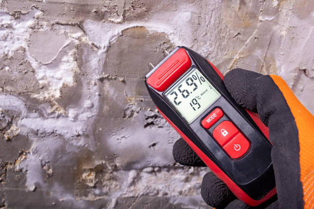 Best Toxic Mold Removal  in Glenarden, MD