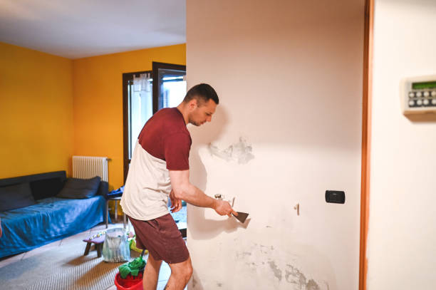 Reliable Glenarden, MD Mold Removal Solutions